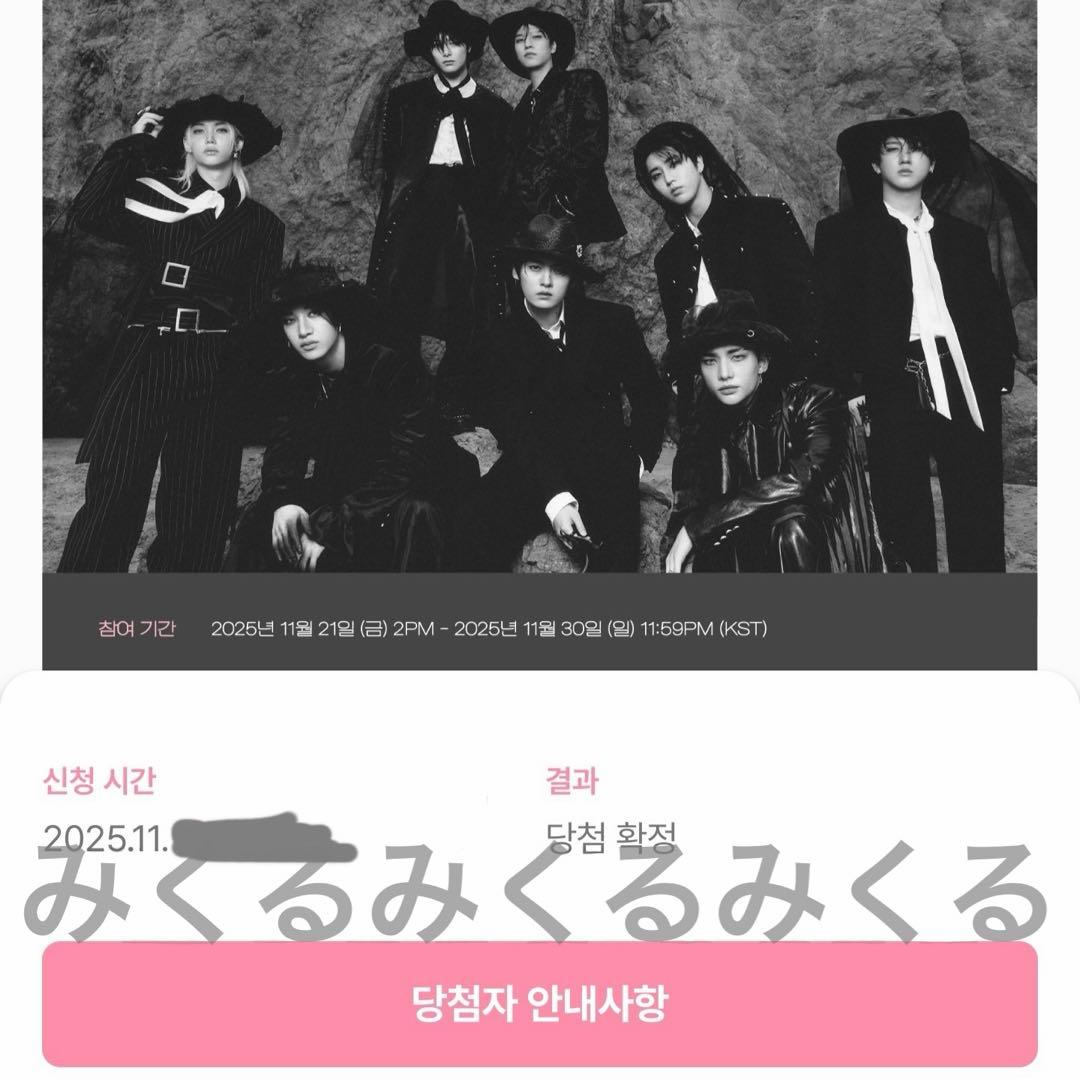 straykidハン　トレカ　スミン　do it ストリーミング　当選