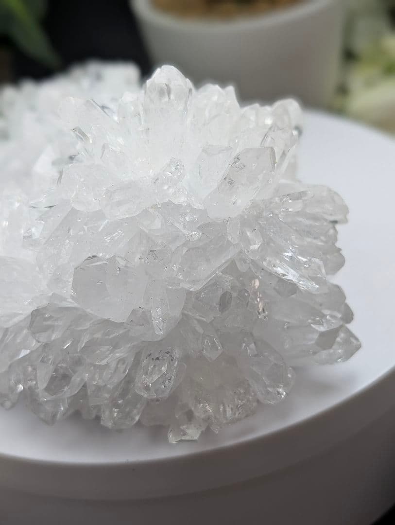 専用677g菊花水晶クラスター 淨化 天然 KK01