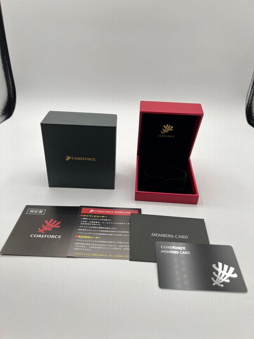 【コアフォース　COREFORCE ネックレス】磁器　黒　箱　保証書あり