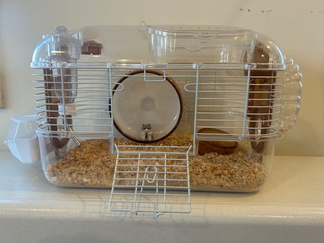 ハムスター用透明ケージと付属品、エサ、砂、おがくずなどスターターキット