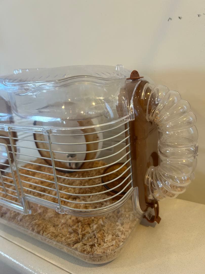 ハムスター用透明ケージと付属品、エサ、砂、おがくずなどスターターキット
