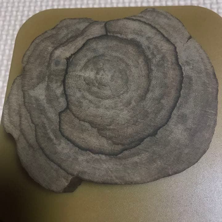 香木 沈香 55g