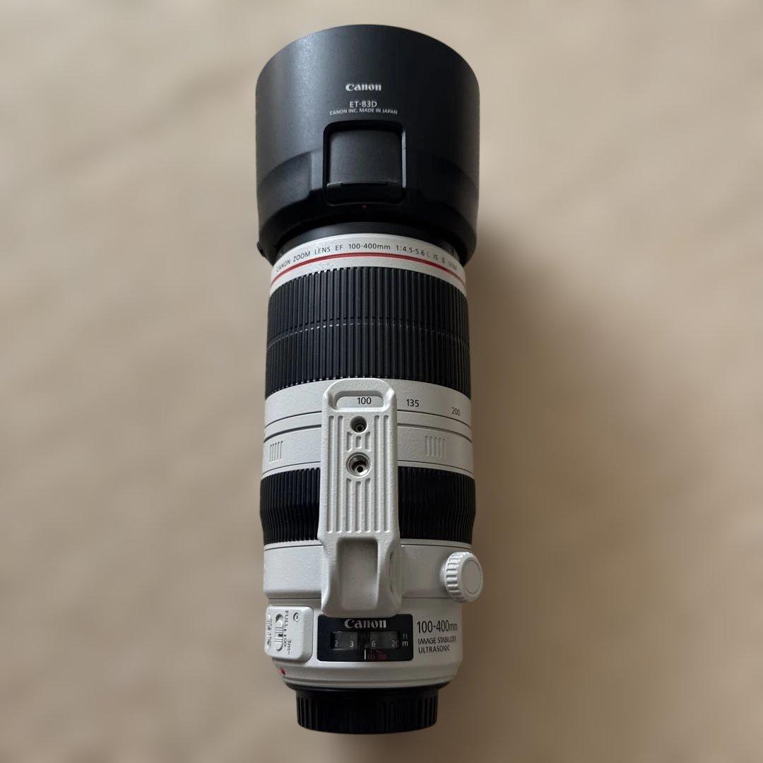 Canon キャノンEOS6D 望遠100-400mm 広角16-35mm 1式