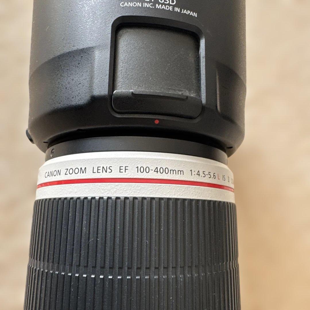 Canon キャノンEOS6D 望遠100-400mm 広角16-35mm 1式