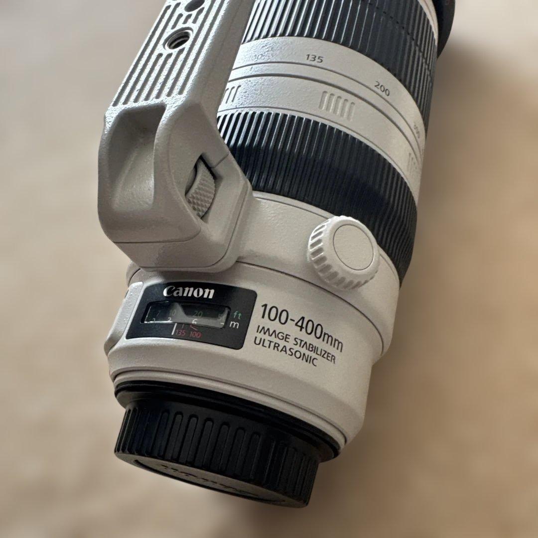 Canon キャノンEOS6D 望遠100-400mm 広角16-35mm 1式