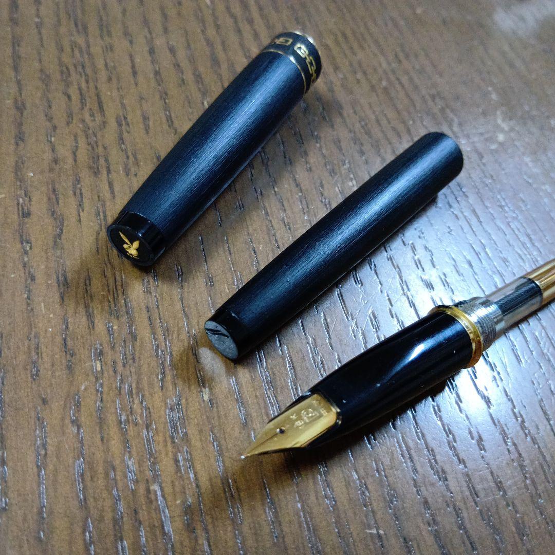 PLATINUM 万年筆