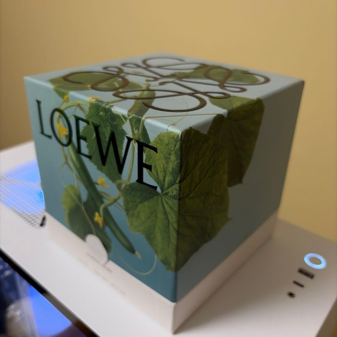 限定品　LOEWE キュウリ香りキャンドル 610g