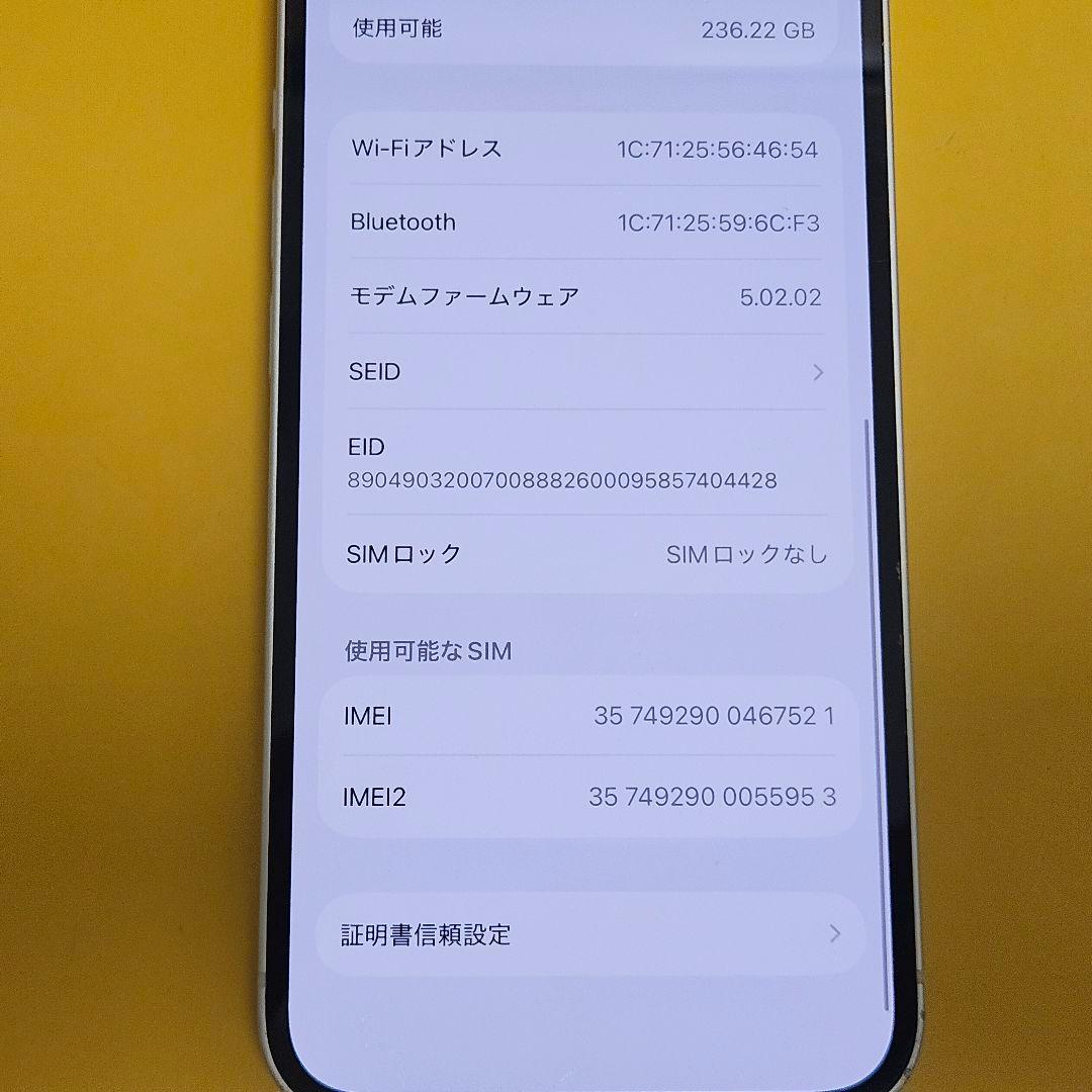 iPhone 13 256GB｜24時間以内発送#521
