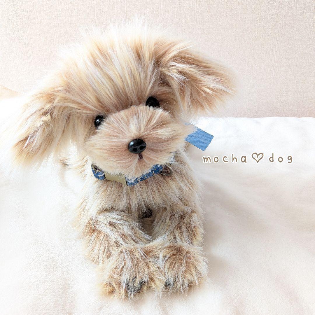 ＊mocha♡dog＊ マルプー(M)☆ぬいぐるみわんこ 犬 ハンドメイド