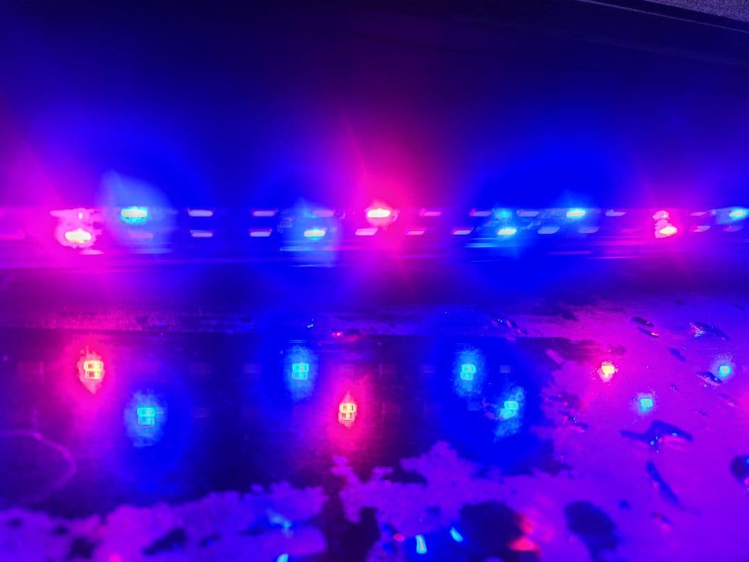 水槽セット フィルター LEDライト付き