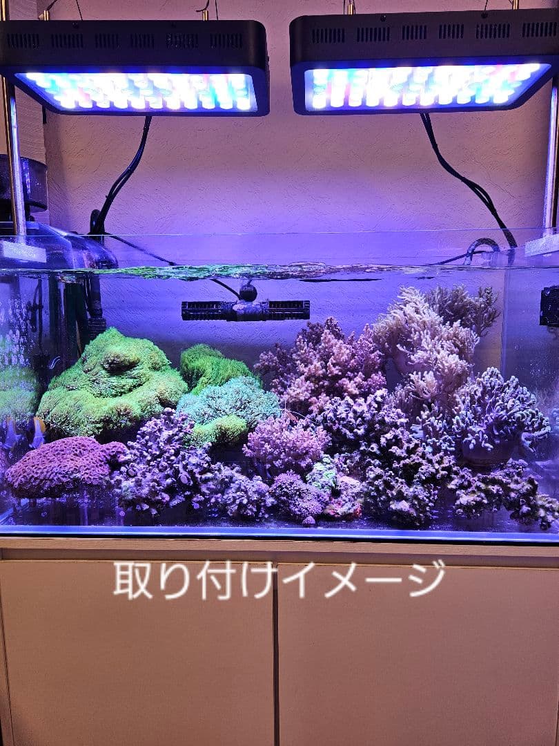 ブラックボックス　LEDライト　プリズムレンズ 吊り下げ式