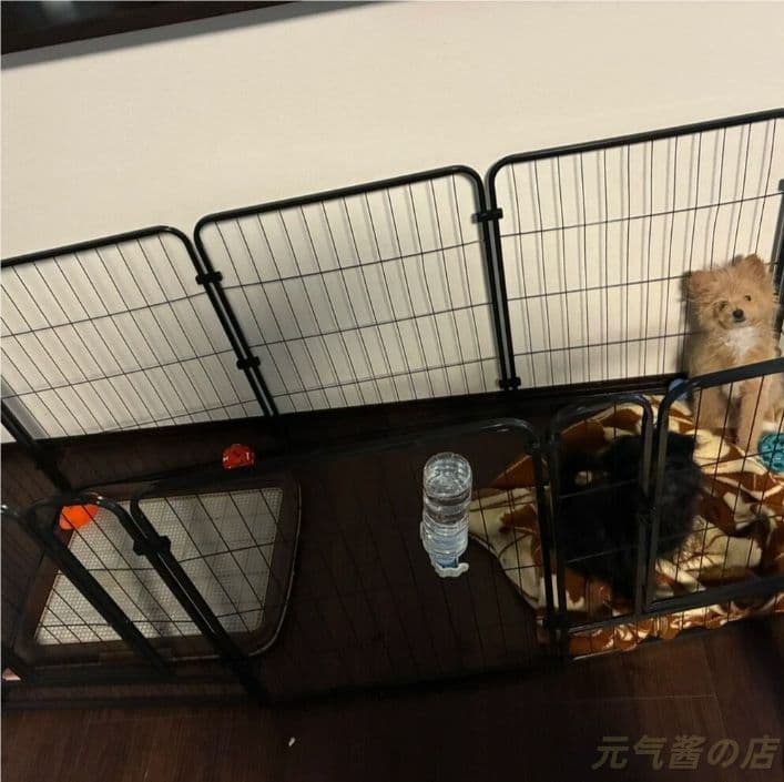 木製キャットタワ一太い支柱多頭飼いに安定性拔群爪とぎ付き