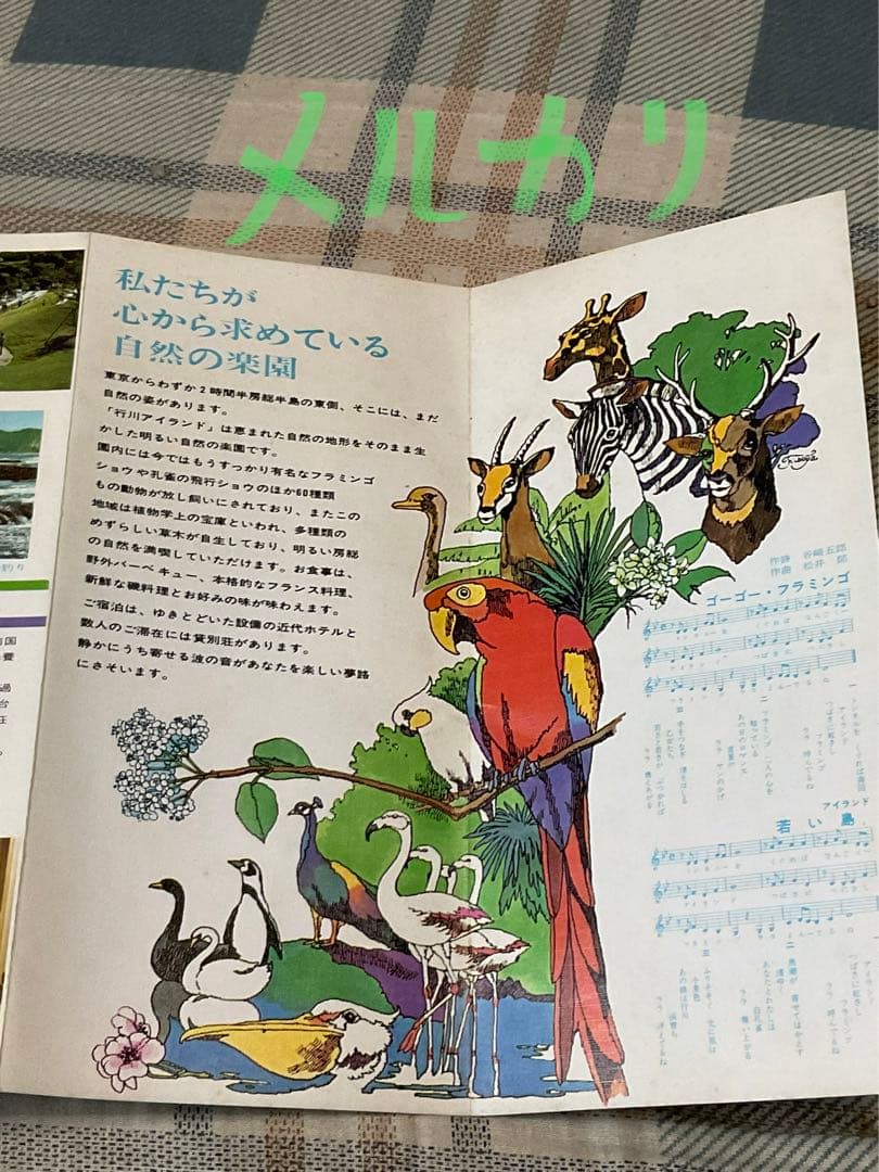 南房総国定公園／行川アイランド【既に存在しません　廃墟　絶版パンフレット】。