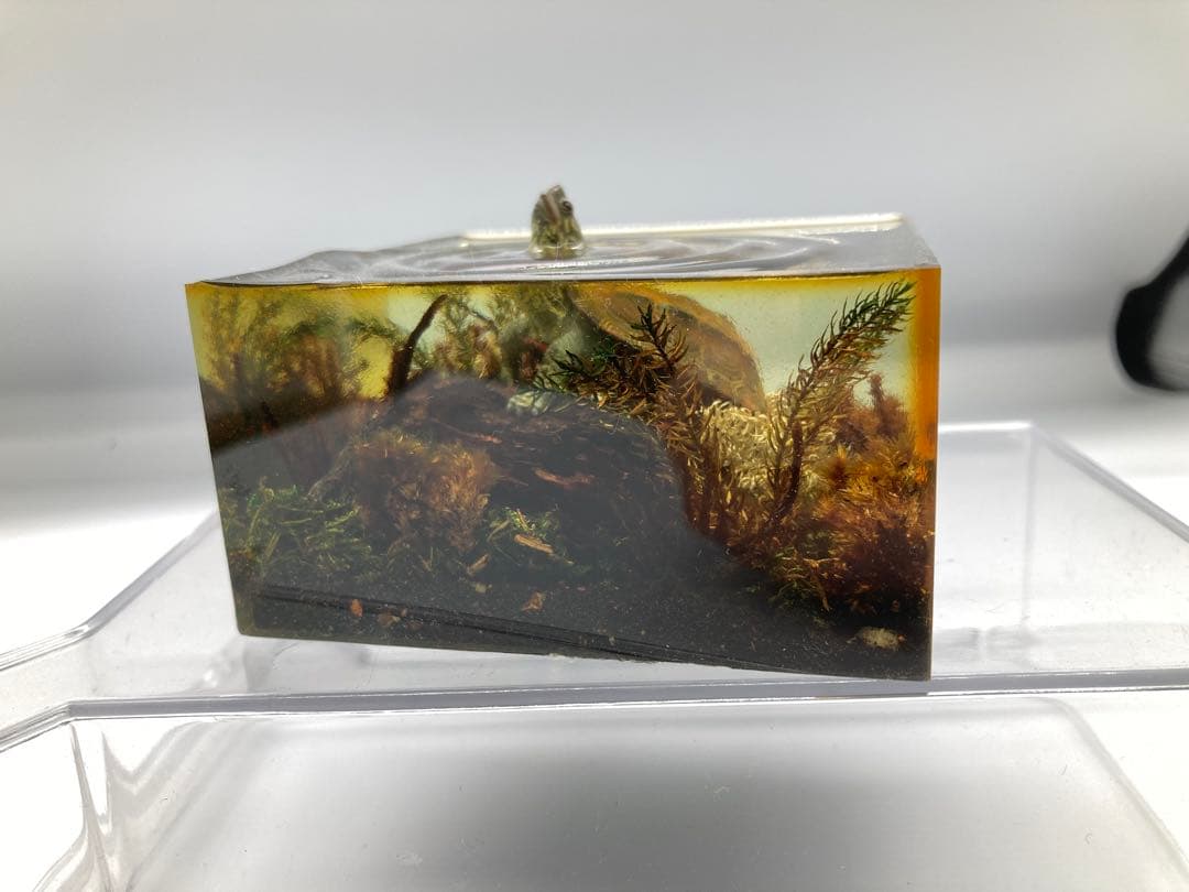水辺の風景ジオラマ クサガメ 動物完成品 クサガメフィギュア