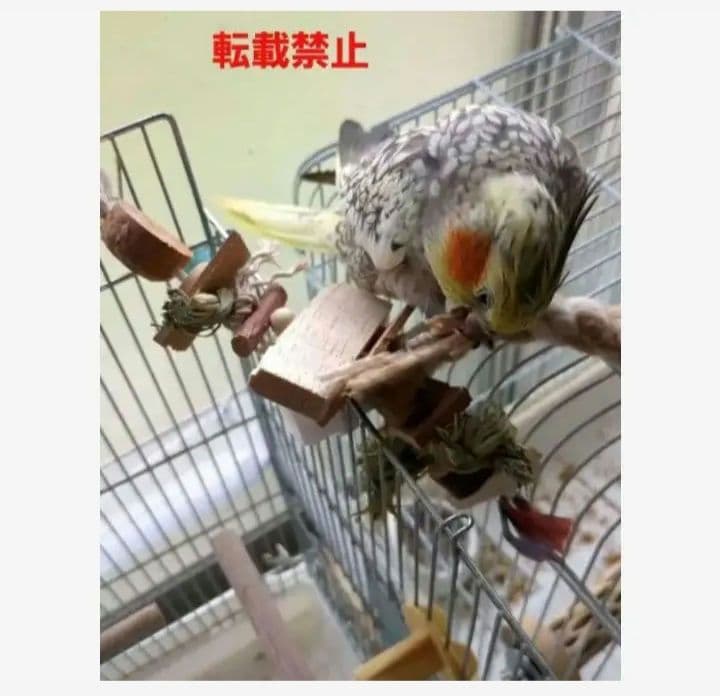 132　ロング　自然素材　ウッドクライミング　インコ　ガジガジバードトイ　バルサ