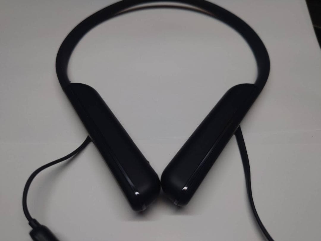 ソニー SONY ワイヤレスノイズキャンセリングイヤホン WI-1000XM2