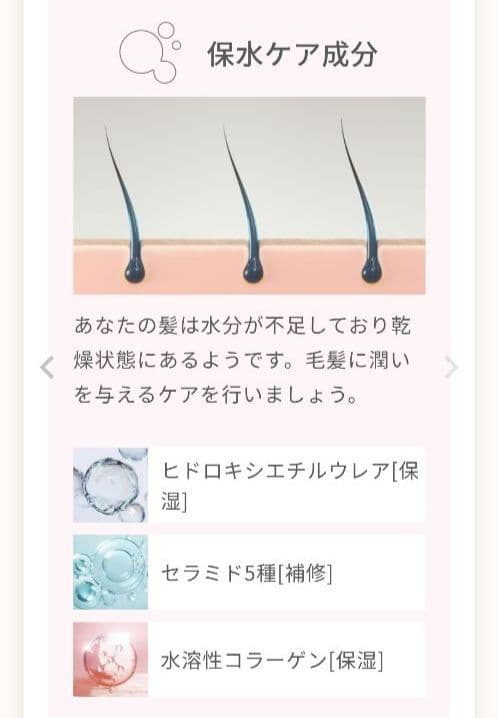 メデュラ シャンプートリートメント ヘアミルク ヘアオイル ヘアブラシ セット