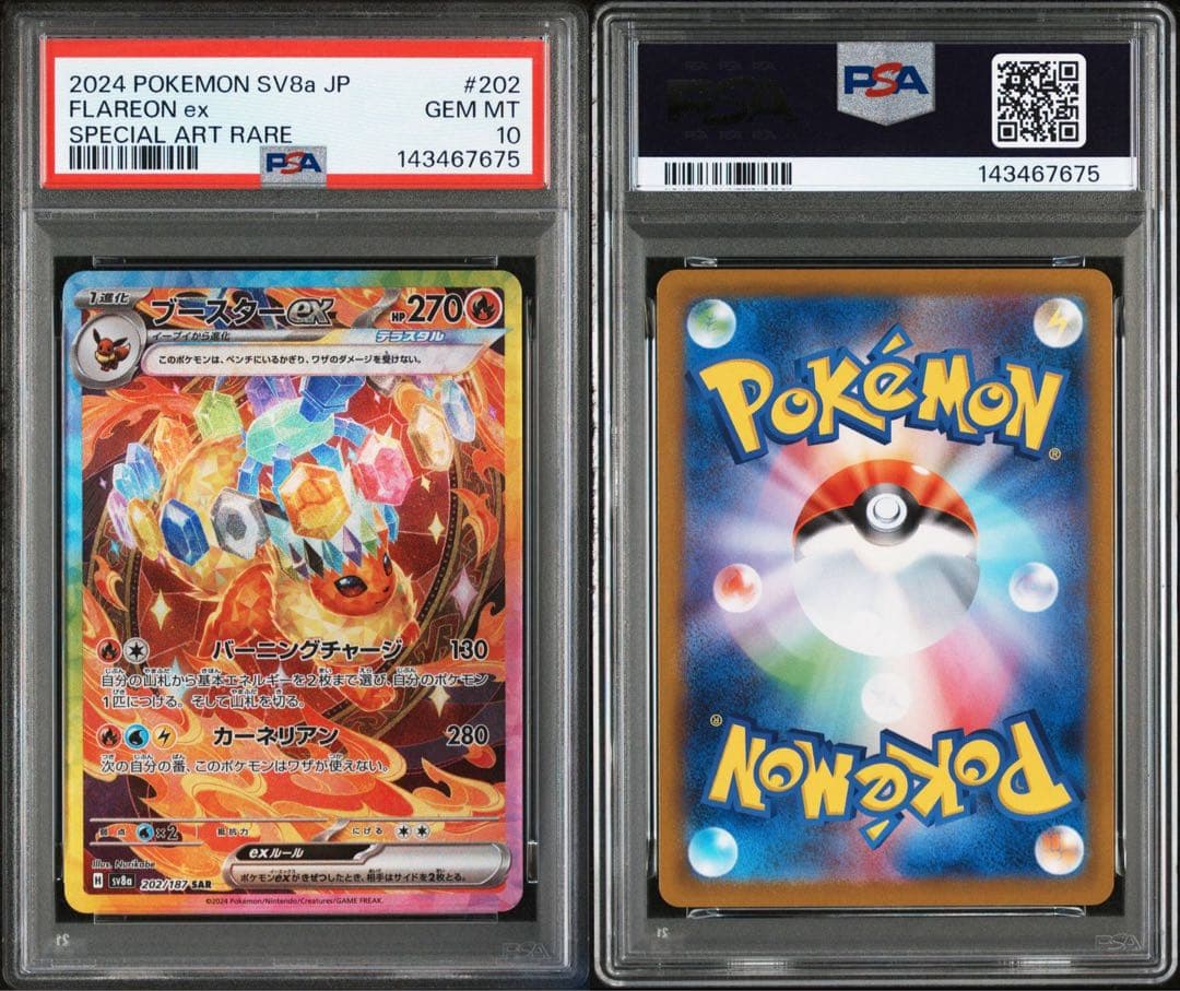 PSA10 10連番 ブイズ SAR テラスタルフェス ex ポケカブラッキー