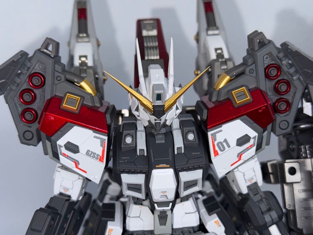 海外製　完成品ZZA社　1/100 Regus レグス SNAA 無限新星 MG