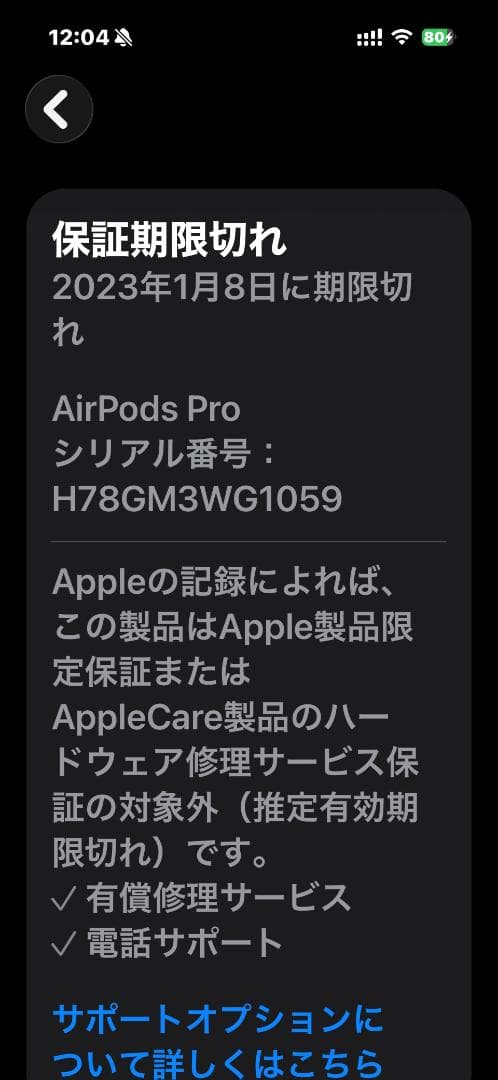 Apple AirPods Pro MLWK3J/A MagSafe対応