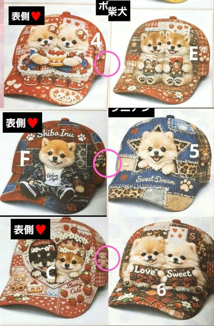 コスメ大好き様♥️リクエストオーダーページ③　柴犬　ポメラニアン