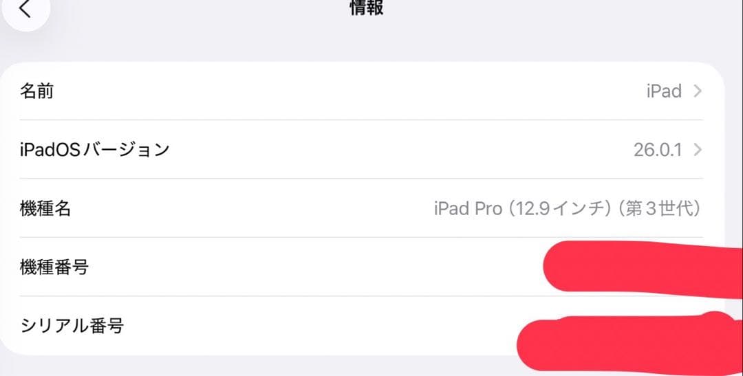 【完動品】iPad Pro 第三世代 12.9inch 本体のみ