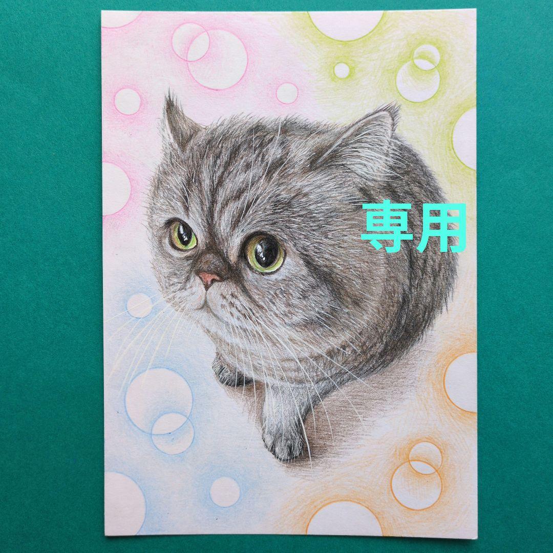 専用です♪　色鉛筆画(13.5×19cm)「…まるいの〜♪」猫♡