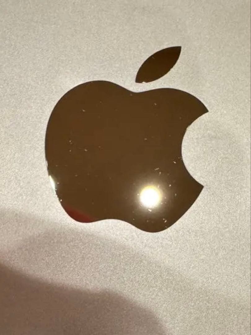 AppleiPad Pro 11インチ第一世代(WiFi + cellular)