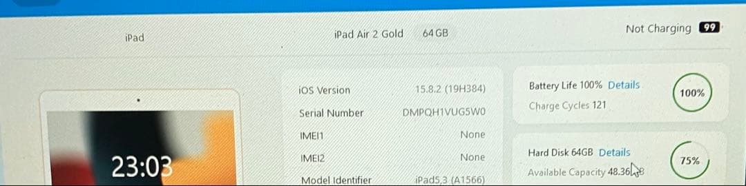 iPad Air2 A1566 ゴールド 64GB バッテリー最大容量100%