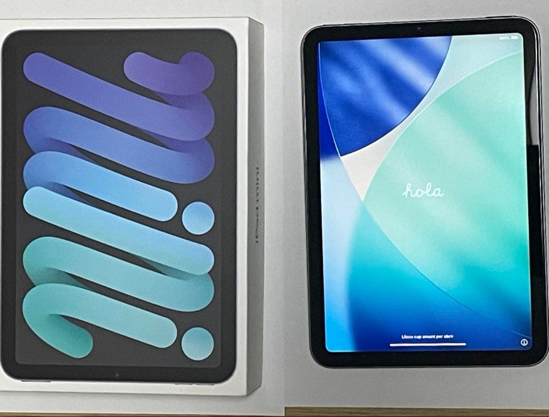 美品! iPad mini (第6世代) 256GB スペースグレイ Wi-Fi