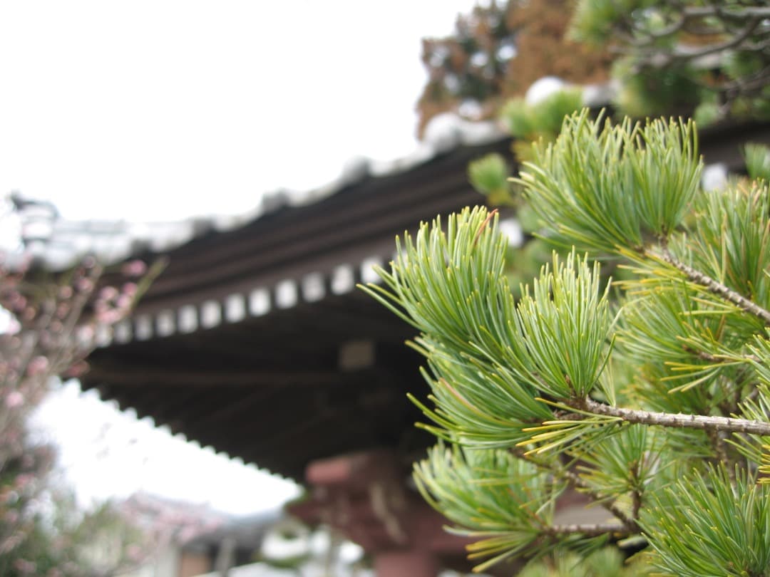 実写美⭕️訳あり【動作確認済】Canon IXY DIGITAL 700