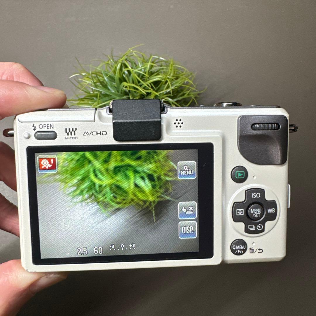 Panasonic ミラーレス一眼 LUMIX DMC-GF2 14mmレンズ付