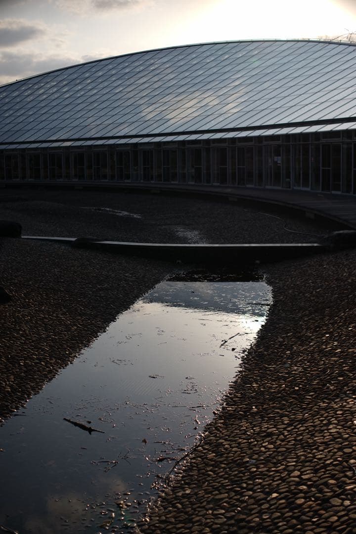 作例付き　TTArtisan tilt 50mm F1.4 管mpr 銘匠光学