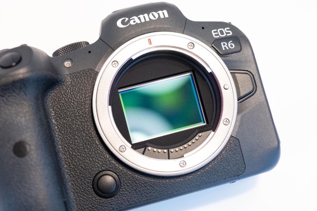 【美品】Canon EOS R6 本体（ショット数記載あり）