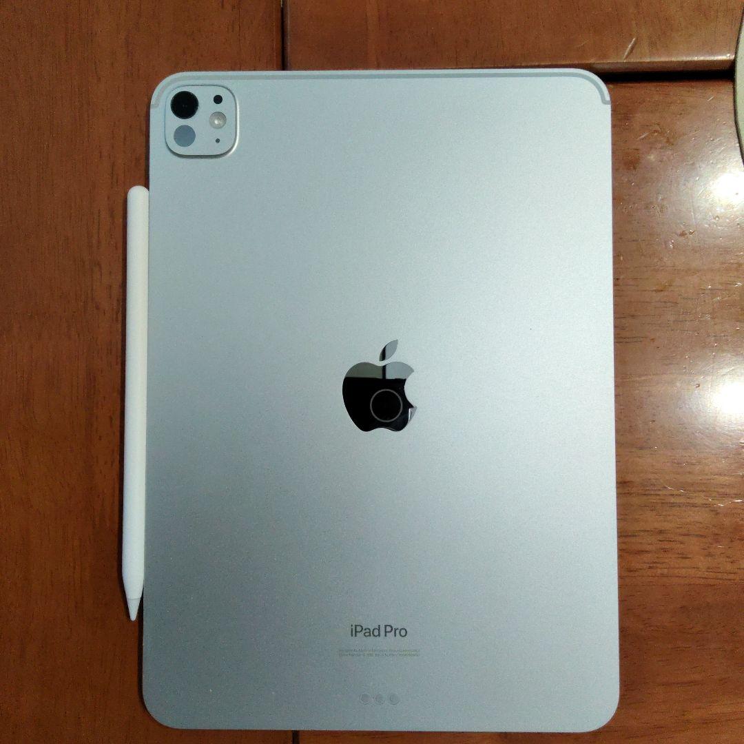 iPad Pro 11インチ m4 シルバー 本体 apple Pencil付き