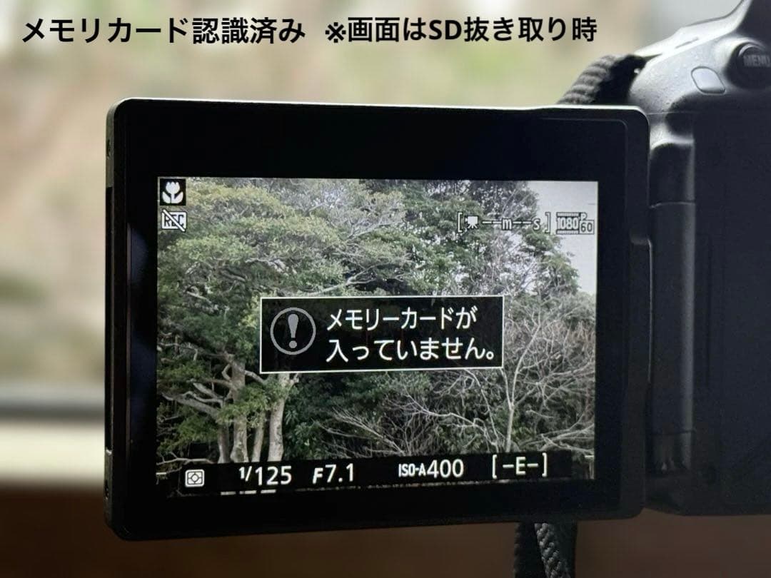 ジャンク/Nikon D5300 Ｗレンズキット Wi-Fi搭載 一眼レフカメラ