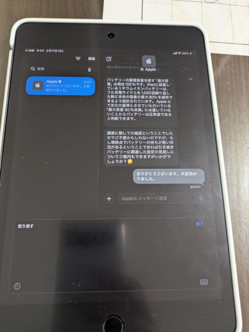 バッテリー100% iPad mini 第5世代 Wi-Fi+Cellular