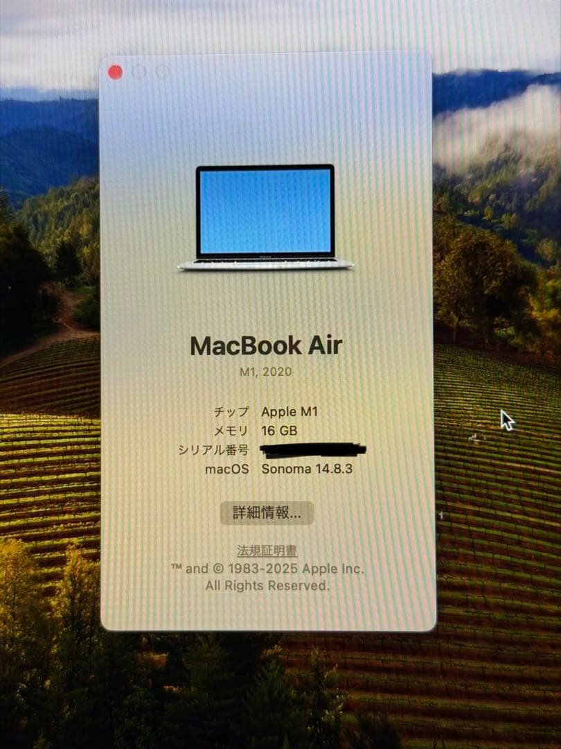 Apple MacBook Air (M1, 2020) シルバー US