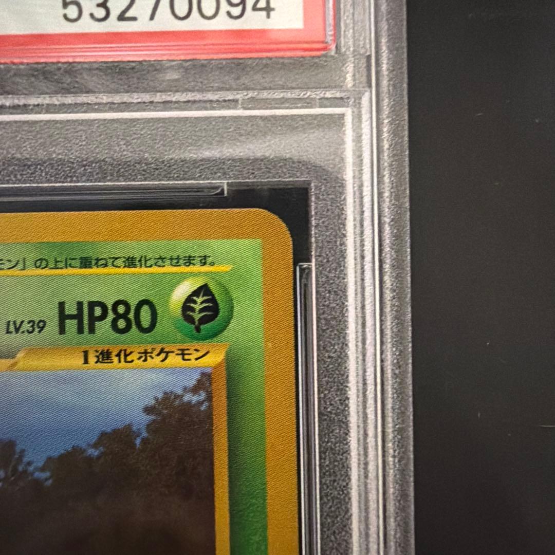 PSA10ベイリーフ 旧裏 neo 2000年 PSA10