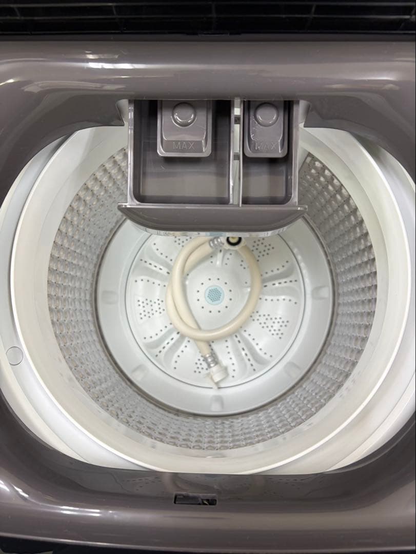 W13 2024年 ELSONIC 5.5kg EHG55DD 縦型洗濯機
