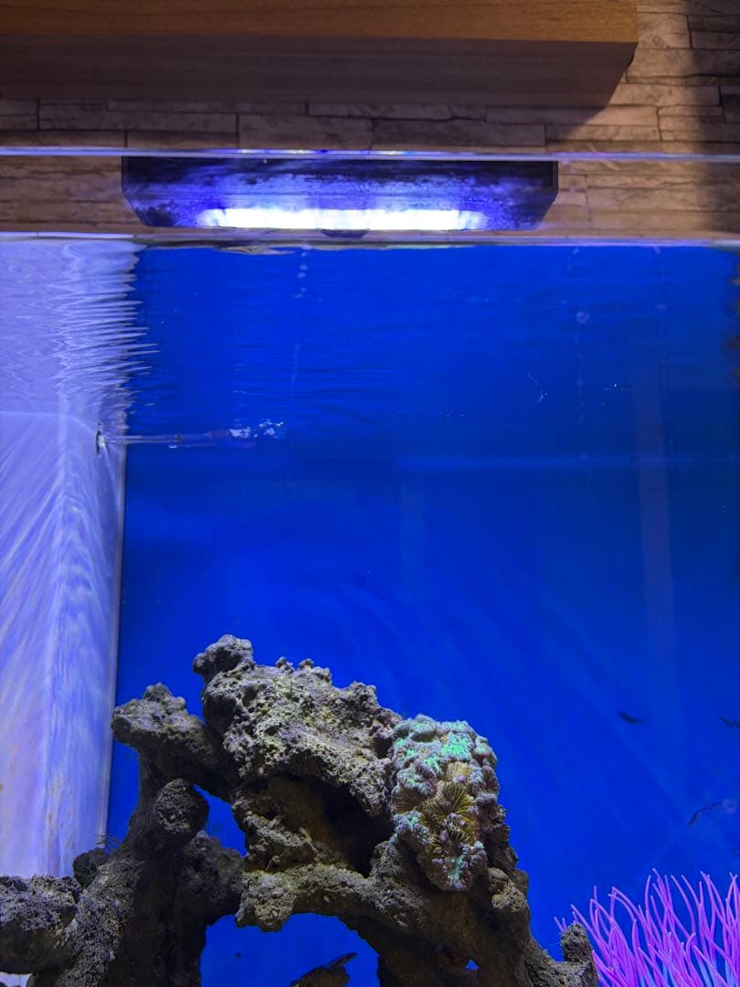 ライト・照明器具 ZOOX OPTIMUS Reef Nano2