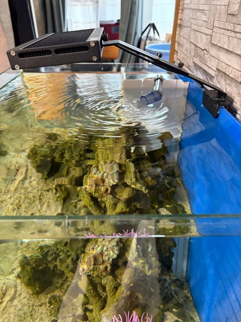 ライト・照明器具 ZOOX OPTIMUS Reef Nano2