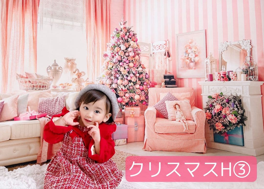背景布【秋H】サンプル　9月お月見、ペット、トリミング撮影用　パンパスグラス