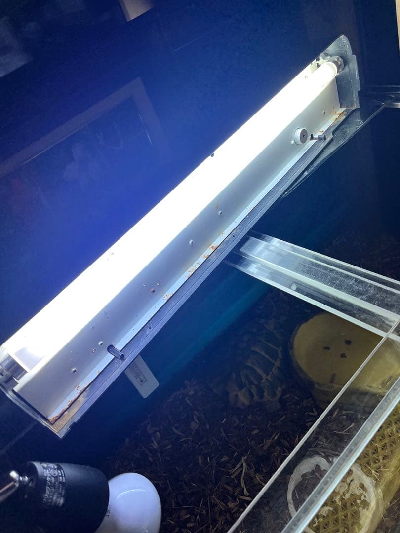 アクリル水槽、アクリルテラリウム、 爬虫類ケージ、リクガメケージ75x40x35