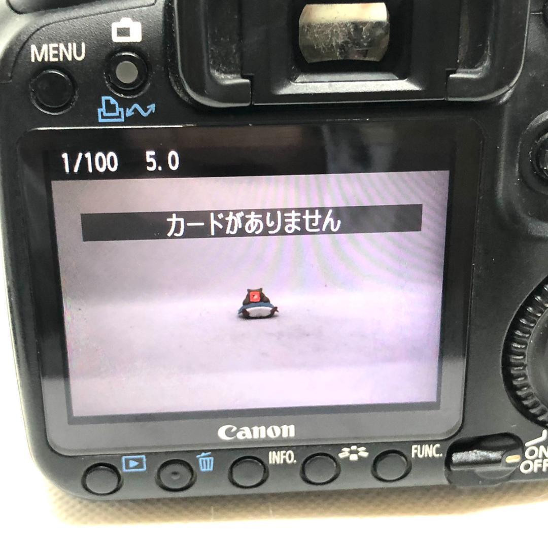 【C6943】Canon EOS50D＋ef 28-105mm デジタルカメラ