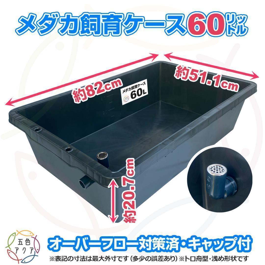 メダカ飼育ケース 60㍑x3個 トロ舟 オーバーフロー付 金魚飼育容器 越冬