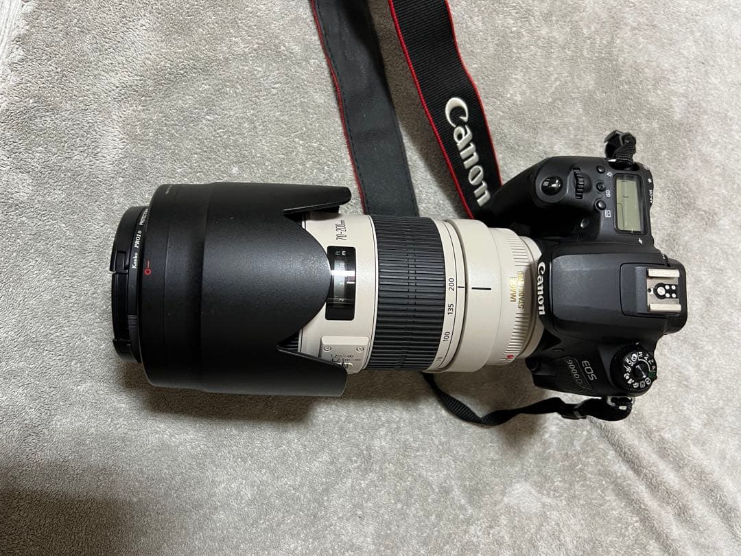 カメラCanon EOS 9000D 、レンズf/2.8L IS II USM