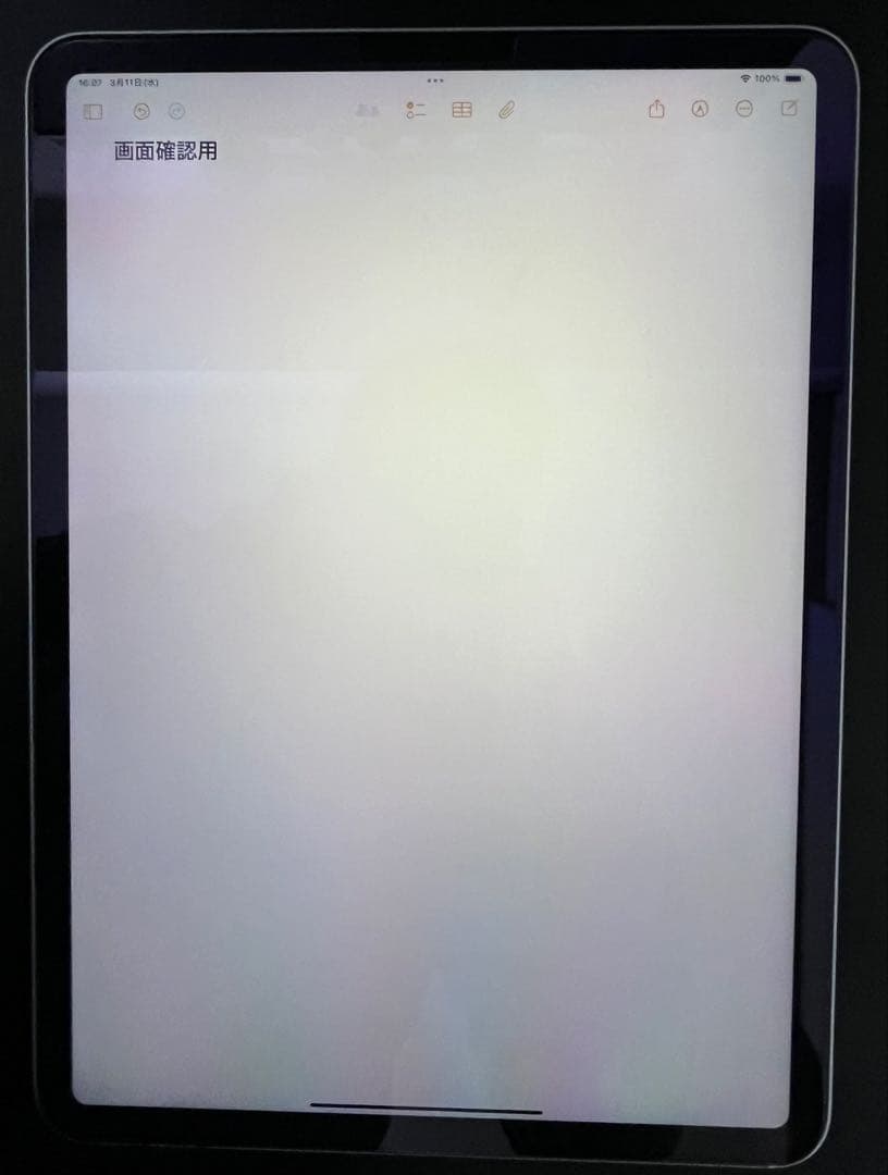 iPad Pro 11インチ (第2世代)、256GB、Wi-Fiモデル）