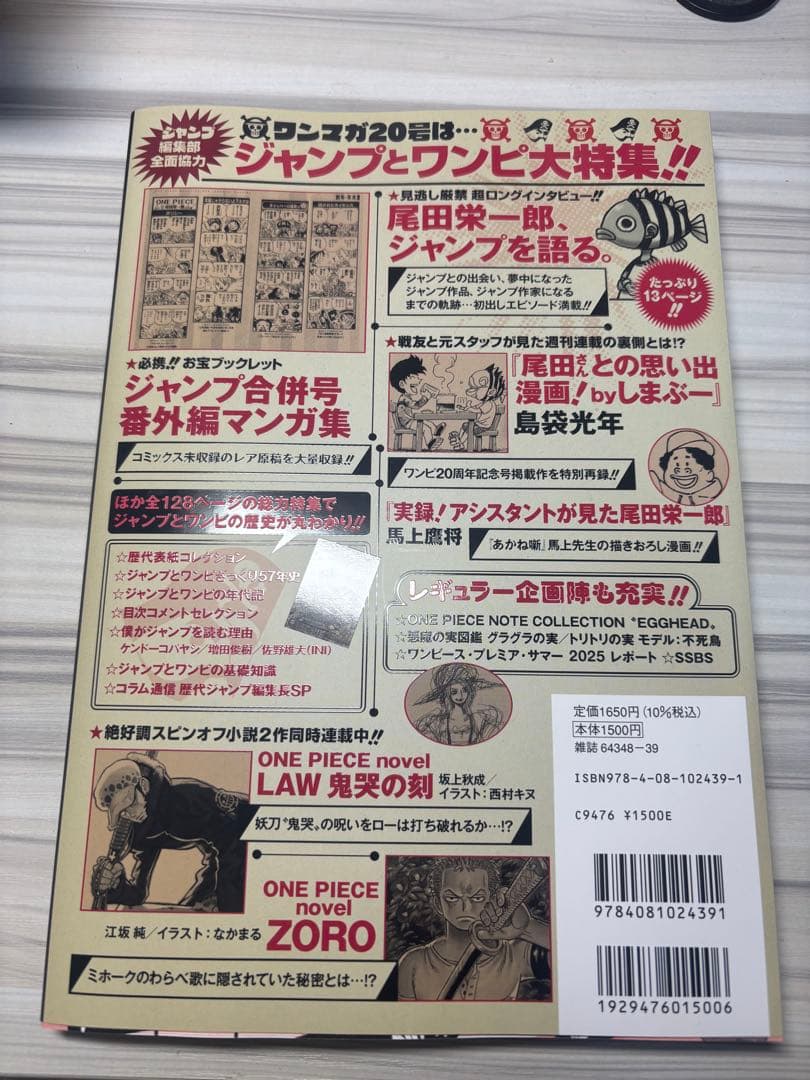 プロモ付き！ワンピースマガジン20号 ルフィ