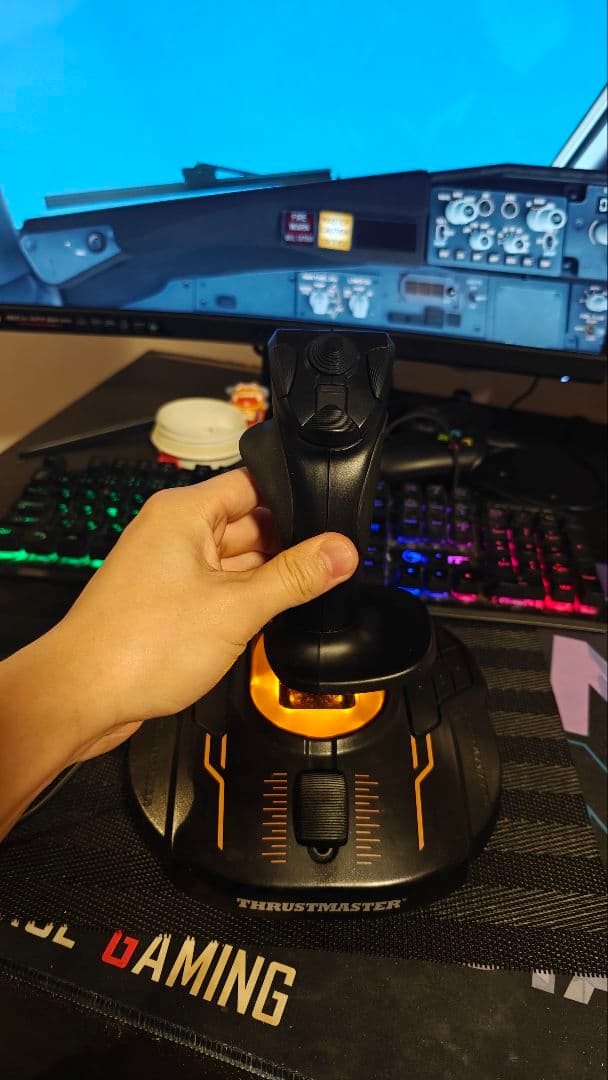 PC用ゲームコントローラー・コンバーター Thrustmaster VG T16000M FCS Joystick